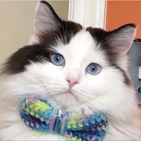 Meet your Posher, Marianna - Picture 1 of 1